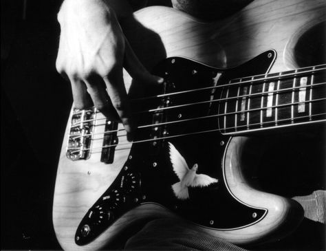 Learning Tunes: A Checklist for Bass Players Learn Bass Guitar, Strumming Patterns, Musician Photography, Acoustic Bass Guitar, Bass Guitar Lessons, Learn Violin, All About That Bass, Bass Players, Hand Exercises