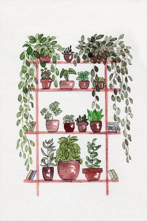 Shelf Plants, Plant Art Print, Garden Watercolor, Watercolor Plants, Pen And Watercolor, Plant Mom, Plant Art, Plant Wall, Watercolor Cards