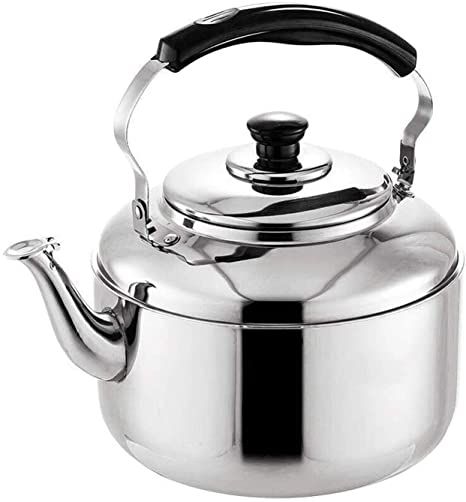 Stovetop Kettle, Induction Stove Top, Stainless Steel Stove, Stainless Steel Kettle, Hot Water Dispensers, Whistling Tea Kettle, Tea Kettles, Living Room Size, Induction Cooker