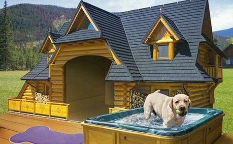 11 Luxury Dog Houses Worthy of MTV Cribs - Barkpost Fancy Dog Houses, Dog Mansion, Dog House With Porch, Luxury Dog House, Small Dog House, Build A Dog House, Dog Kennel Cover, Large Dog House, Dog House Plans