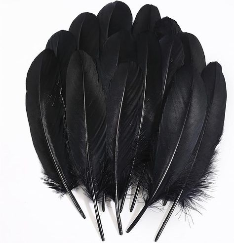 Amazon.com: Ballinger Black Craft Feathers Bulk - 120Pcs 6-8 Inch Real Goose Feathers for DIY Halloween Decorations, Jewelry,Cosplay and Clothing Accessories : Arts, Crafts & Sewing Feather Garland, Craft Feathers, Black Craft, Feather Crafts, Goose Feathers, Natural High, Black Feathers, Diy Halloween Decorations, Sewing Stores