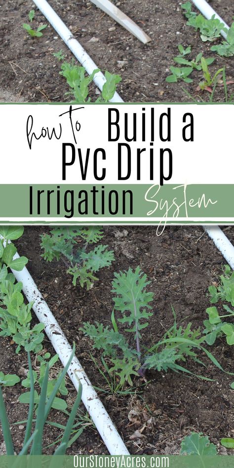 Diy Water Irrigation System, Water System For Garden Drip Irrigation, Water Tank Irrigation, Backyard Irrigation Ideas, Simple Irrigation Ideas, Vegetable Garden Watering System Diy, Garden Self Watering System, Backyard Vegetable Gardens Design, Flower Bed Watering System