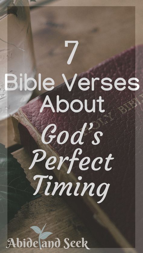 7 Bible Verses About God's Perfect Timing - Abide and Seek God's Perfect Timing Quotes, Perfect Timing Quotes, Gods Timing Quotes, Relationship Verses, Bible Verses For Girls, Bible Verses About Relationships, God's Perfect Timing, Trust Gods Timing, God's Timing Is Perfect