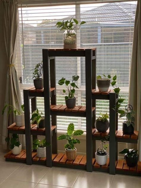 Plant Stand Decor, Indoor Plant Shelves, Indoor Plant Wall, Indoor Tree, نباتات منزلية, Plant Stands Outdoor, Hanging Plant Wall, Desain Lanskap, Wood Plant Stand