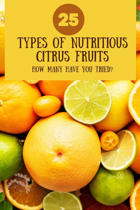 How Many Have You Tried? Juicing For Health, Citrus Fruits, Mandarin Orange, Citrus Fruit, Have You Tried, You Tried, How Many, You Must, Fruit