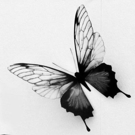 Animal Tattoo Ideas, Butterfly Tattoos, Butterfly Tattoo Designs, Art Tattoos, Tattoo Art, Tattoo Ideas, Tattoo Designs, Twist, Tattoos