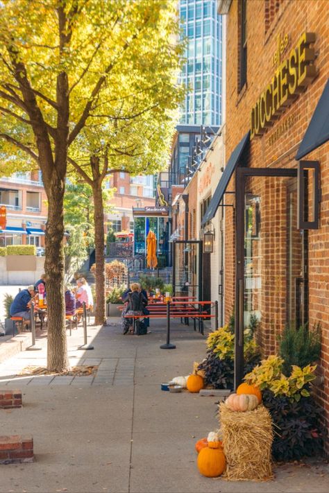 A shot of an alley in the Gultch neighborhood of Nashville with leaves changing colors and pumpkins in front of the stores. Autumn Treats, Film Festivals, Fall Treats, Music City, Art Festival, Sport Event, Tis The Season, Fall In Love, Nashville