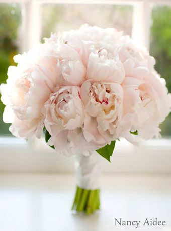 We must setup a meeting with this florist!!! weddingflowersbylisa.com Blush Bridal Bouquet, Wedding Flowers Peonies, Peony Bouquet Wedding, Bridal Bouquet Pink, Blush Peonies, Wedding Bouquets Pink, Peony Wedding, Pink Wedding Flowers, Peonies Bouquet