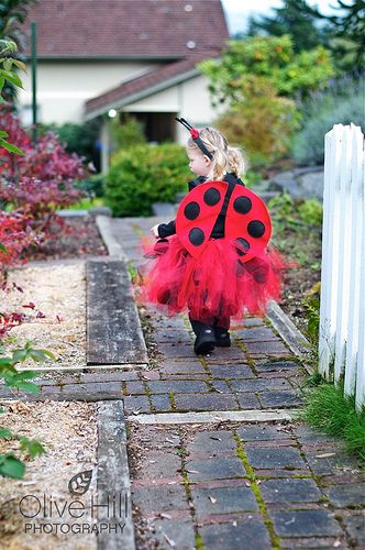 Bug Costume Ideas, Ladybug Family Costume, Diy Ladybug Costume, Ladybug Costume Diy, Diy Ladybug Wings, Homemade Ladybug Costume, Ladybug Wings Costume, Ladybird Halloween Costume, Toddler Ladybug Costume