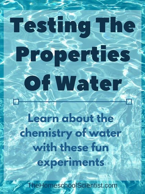 Water Worksheet, Water Properties, Safari Vbs, Water Science Experiments, Science Experiments Kids Preschool, Biology Experiments, Properties Of Water, Grade 2 Science, Capillary Action