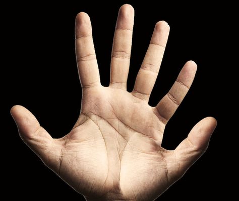 Scientists explain why math would be different, possibly with profound consequences for human intelligence. They think the sixth finger would likely be an extra thumb. 6 Fingers, Hands Drawing, Drawing Room Interior Design, Finger Hands, Small Drawings, Human Hands, Human Hand, Be Different, Scientists