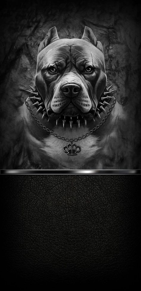 Pitbull Wallpaper, Pitbull Drawing, Cool Skull Drawings, Bulldog Wallpaper, Bulls Wallpaper, Pitbull Dog Breed, Pitbull Tattoo, Dog Background, Pitt Bulls