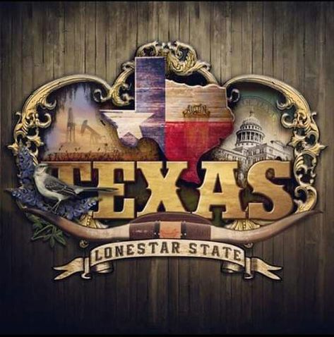 Jay X, Vibe Music, Texas Tattoos, Only In Texas, Texas Strong, Texas Life, Republic Of Texas, Texas Decor, Texas Forever