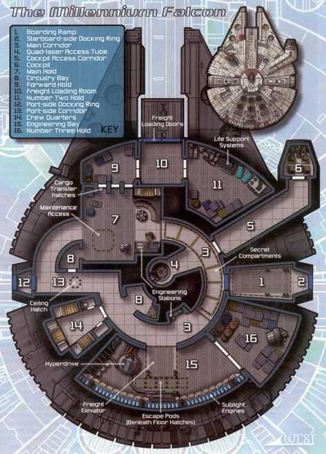 Star Wars Holocron (@sw_holocron) on X Star Wars Credits, Star Wars Map, Star Wars Holocron, The Millennium Falcon, Millenium Falcon, Diagram Design, Star Wars Images, Millennium Falcon, Floor Plan