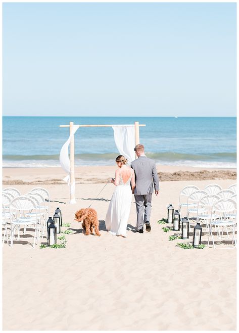 Dog In Beach, Virginia Beach Wedding Venues, Wedding With Dog, Shades Of Dusty Blue, Wedding Flowers Boho, Sandbridge Beach, Sunset Beach Weddings, Virginia Beach Wedding, Shutter Photography