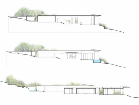 Gallery of Cascading Creek House / Bercy Chen Studio - 18 Triangle House, Architectural Renderings, Creek House, Studio Architecture, Architectural Presentation, Studios Architecture, Architectural Section, Building Section, Shed Homes