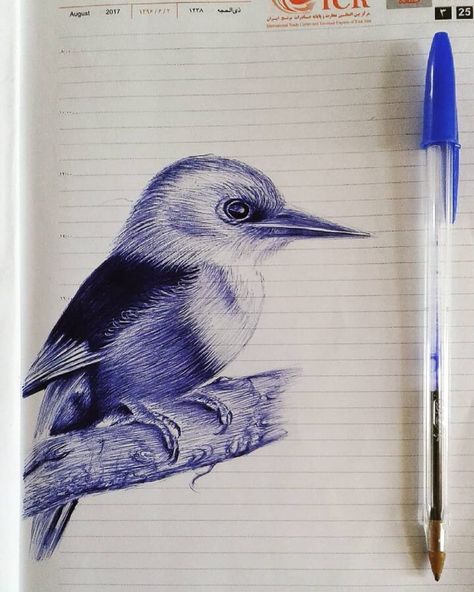 blue ballpoint pen animal drawing Pen Animal Drawings, Ballpen Drawing, Biro Drawing, Woodpecker Bird, Perfect Handwriting, Ballpoint Pen Art, Pen Art Work, Blue Drawings, Ballpoint Pen Drawing