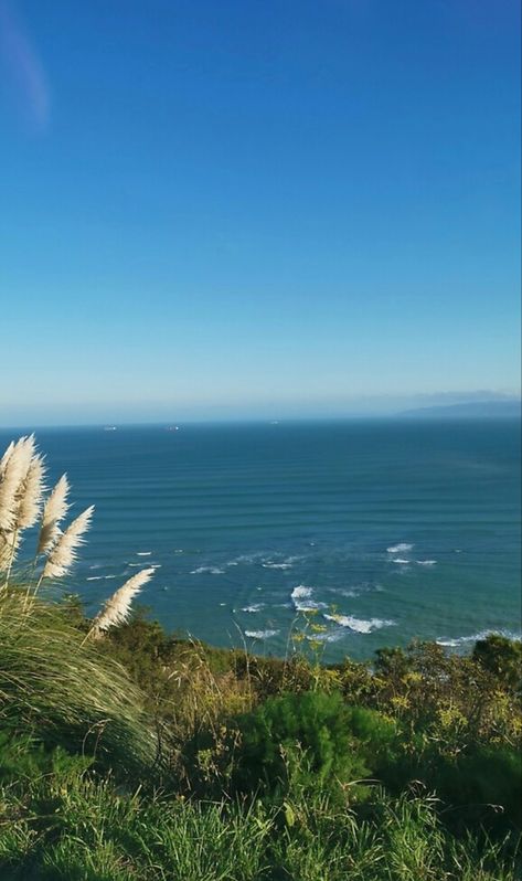 Gisborne New Zealand, Tiki House, Sea Poster, New Zealand Beach, Painting Inspo, A Hill, Beach View, Ocean Photography, Art Therapy