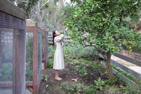 Shiva Rose Let Us Into Her Garden, And We Left More Inspired Than Ever Shiva Rose, Wishing Wells, Celebrity Homes, Secret Gardens, Wishing Well, Celebrity Houses, Beauty Wellness, Shiva, Secret Garden