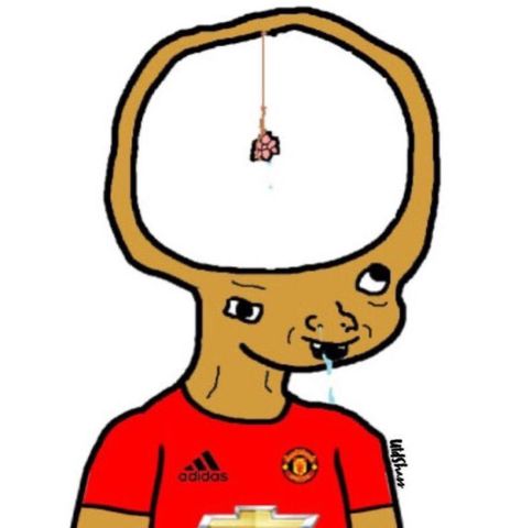 Manchester United Meme, Troll Football, Manchester United, Manchester, Soccer, Football, American Football