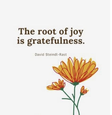 The Root Of Joy Is Gratefulness, Root Quotes, 2025 Quotes, Daily Reminders, Describe Me, Health Quotes, 2024 Vision Board, 2024 Vision, Great Quotes