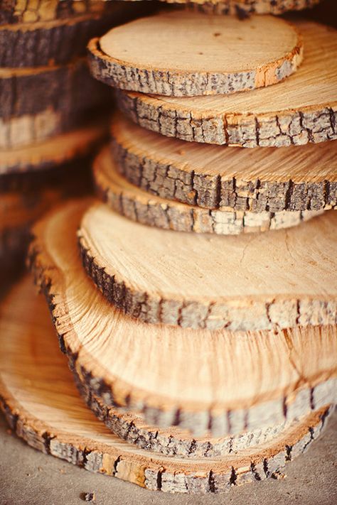 Tree Trunk Photo Wall » Brandon Kidd Photography Wood Charger Plates, Tree Trunk Slices, Wood Plate Chargers, Wooden Chargers, Tree Trunk Table, Wood Chargers, Trunk Table, Halloween Mason Jars, Sharpie Crafts