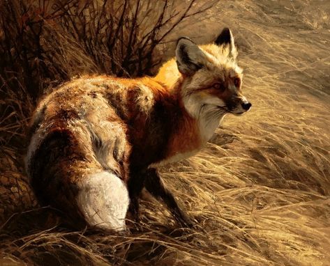 Fox  Greg Beecham Greg Beecham, Fox Artwork, Wildlife Artwork, Wildlife Paintings, Fox Art, Animals Artwork, Arte Animal, Wildlife Art, Animal Paintings