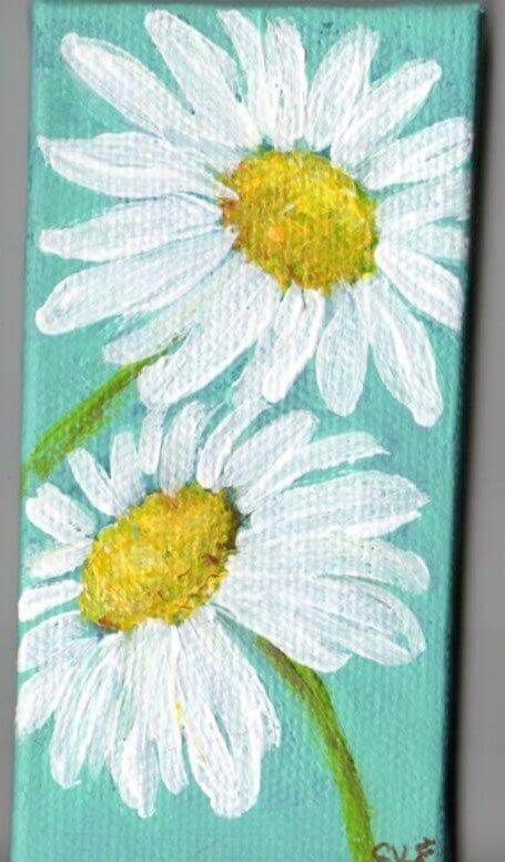 Daisy Painting, Cute Canvas Paintings, Easy Canvas Painting, White Daisies, Simple Acrylic Paintings, Urban Sketchers, Night Painting, Beginner Painting, Painting Class