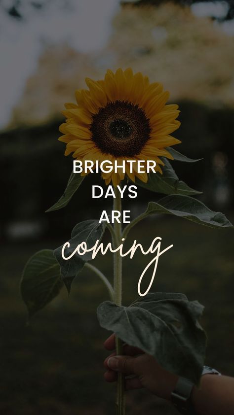 #motivation #work #focus #success #help #keepworking Bright Day Quotes, Change Is Coming, Brighter Days, Always Be, Positive Quotes, Sunflower, The Next, Bring It On, Lighting