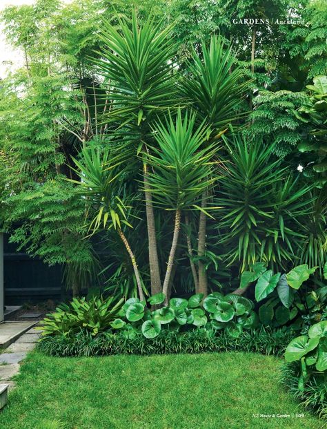 Tropical Garden Inspiration, Plants And Pots Ideas, Beautiful Backyard Garden Inspiration, Nz Landscape Design, Hibiscus Garden Landscaping, Tropical Garden Design Landscaping, Auckland Garden, Tropical Courtyard Garden, Modern Tropical Garden