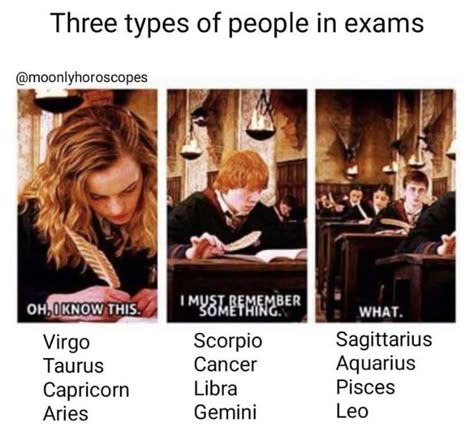 Cute Zodiac Signs, Sagittarius Virgo, Zodiac Sagittarius Facts, Cute Zodiac, Exam Season, Gemini Aries, Glume Harry Potter, Capricorn Pisces, Pisces Astrology