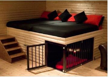 bed with space saving doggie bed! Build A Dog House, Diy Dog Kennel, Clumber Spaniel, Dog Spaces, Dog House Diy, Bed Platform, Dog Rooms, Indoor Dog, Border Terrier