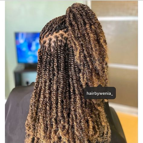 African Stylist  🇱🇷👸🏿🌍 on Instagram: “Spring Twist Light, Full and Flirty. Book mid back. Color (1b/27) Prices, Availability and to Book simply click link in Bio. Any Questions…” Spring Twists, Hair Inspo Color, Hair Inspo, Link In Bio, Twist, Hair, On Instagram, Color, Instagram