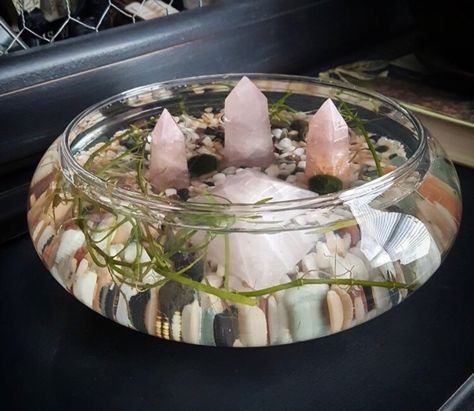 Crystal Room, Crystal Garden, Crystal Aesthetic, Terrariums Kits, Moss Balls, Garden Terrarium, Witchy Decor, Room Deco, Crystal Magic