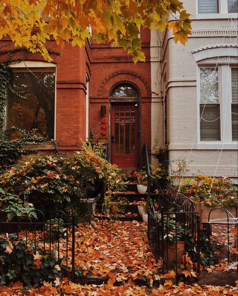 Autumn In Dc, Autumn San Francisco, Fall Asthetic 2024, Washington Fall Aesthetic, Deep Fall Aesthetic, Washington Dc Aesthetic Fall, Washington Dc Fall Aesthetic, San Francisco Fall Aesthetic, Fall Nostalgia Aesthetic