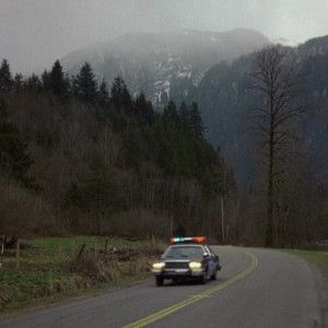 Pacific Northwest Small Town, Pnw Small Town, The Mist Aesthetic, Gothic Spring Aesthetic, Pacific Northwest Gothic, 80s Slasher, Pacific Northwest Aesthetic, Slasher Summer, Chat Background