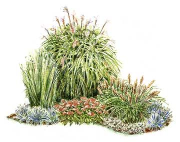 Enjoy the Beauty of Grasses        Ornamental grasses are great because they look beautiful all winter and are ultraeasy to grow. Soften hard-to-mow corners in the front of your home with this small-space garden plan. Garden size: 10 by 8 feet. Perennial Garden Plans, Colorful Shrubs, Grass Garden, Ornamental Grass, Garden Plan, Corner Garden, Grasses Garden, Garden Shrubs, Side Garden