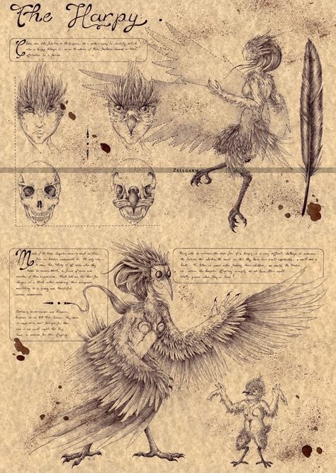 Magical Creatures Mythology, Mystical Creatures Mythology, Fantasy Creatures Mythology, Folklore Art, Myths & Monsters, Mythical Monsters, Buku Harry Potter, Legends And Myths, Mythical Creatures Art