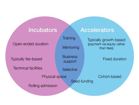 Accelerators Vs Incubators: How to Choose the Right One | MassChallenge Business Accelerator, Business Incubator Design, Startup Workspace, Startup Poster, Startup Infographic, Startup Incubator, Startup Presentation, Startup Design, Business Marketing Design