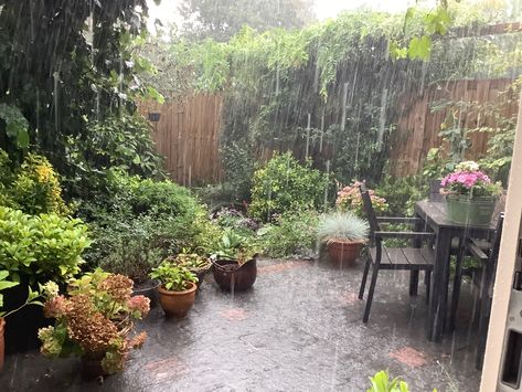 Rainy Backyard, Roslyn Bon Iver, Peaceful Rain, Rain Lover, Rain Aesthetic, Spring Showers, Rainy Day Aesthetic, Summer Storm, Rain Rain