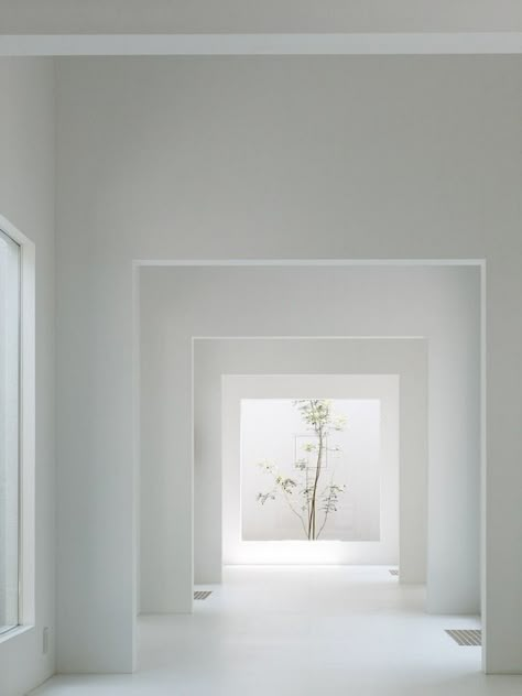 Chiyodanomori Dental Clinic by Hironaka Ogawa & Associates #architecture #interior #tree Gunma Japan, Interior Design Minimalist, Minimal Interior Design, Interior Minimalista, Gunma, Empty Room, Vogue Covers, Interior Design Magazine, Interior Modern