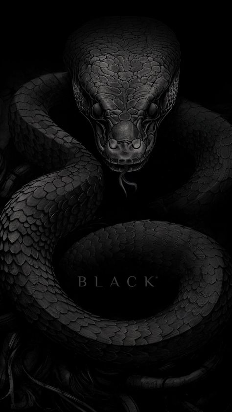 Snake Pfp Aesthetic, Snakes Wallpaper Aesthetic, Luxury Black Wallpaper, Black Snake Wallpaper, Black Snake Art, Snake With Wings, Black Screen Wallpapers, Snakes Aesthetic, Lock Screen Wallpaper Disney