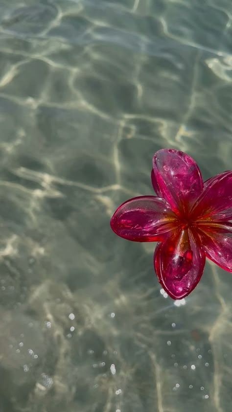 Tropical Flower Hair Clip, Hawaiian Flower Hair Clip, Flower Clip Aesthetic, Flower Clips Aesthetic, Flower Hair Clips Aesthetic, Hawaiian Tropic Aesthetic, Hawaiian Aesthetic, Hawaiian Accessories, Hawaiian Flower Hair