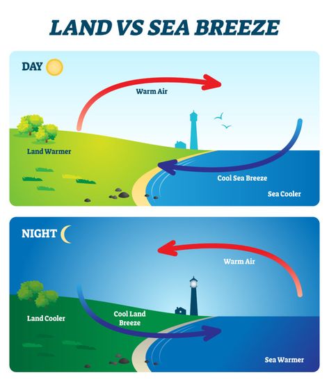 Geology Notes, Study Geography, Atmospheric Circulation, Climate And Weather, Basic Geography, Science Symbols, Earth Science Lessons, Layers Of The Earth, Ocean Currents