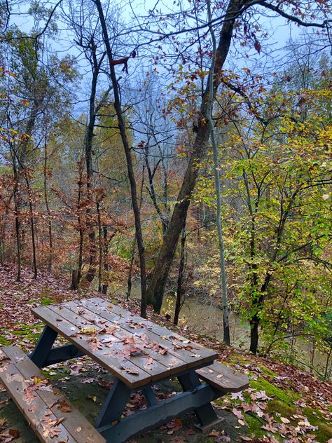 Drop off out back to creek below. Oct. 29, 2020 Comfort Pics, Beautiful Park, Walk In The Woods, Drop Off, Out Back, Ponds, In The Woods, Rocky, The Neighbourhood