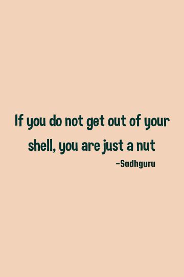 If you do not get out of your shell, you are just a nut    #short #truth #witty Short Witty Quotes Funny, Short Witty Quotes Funny Hilarious, Short Witty Quotes, Nuts Quotes, Plato Quotes, What Is Spirituality, Mystic Quotes, Motto Quotes, Spirituality Quotes