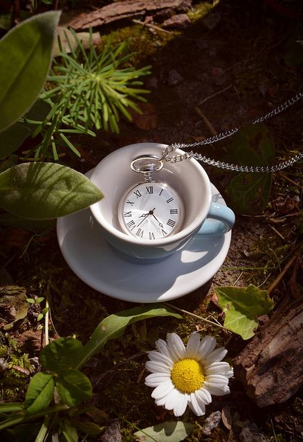 Tea time by LyingCameraEye, via Flickr Go Ask Alice, Alice In Wonderland Aesthetic, Images Disney, Alice Madness, March Hare, Alice In Wonderland Theme, Were All Mad Here, Mad Hatter Tea, Mad Hatter Tea Party