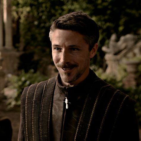 Littlefinger Game Of Thrones, Little Finger Game Of Thrones, Peter Baelish, Aiden Gillen, Lord Baelish, Evermore Era, Vikings Show, Narnia 3, Petyr Baelish