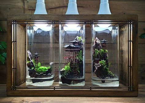 #terrarium #plaudarium #aquaterrarium #diorama #bottle garden #jar terrarium Bottle Diorama, Terrarium Bottle, Garden Diorama, Jar Terrarium, Aquascape Aquarium, Bottle Garden, Plant Decor Indoor, Vivarium, Bonsai Pots