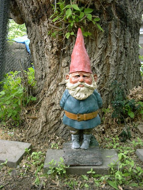 Classic Gnome. rien poortvliet garden gnomes Gnome Ideas, Garden Gnomes Statue, Gnome Statues, Gnomes Diy, Garden Gnomes, Diy Halloween Costume, Garden Crafts Diy, Garden Pottery, Gnome House